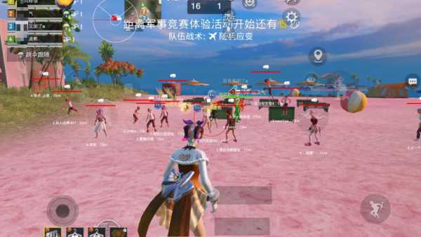 玩家社区对和平精英辅助软件的看法调查